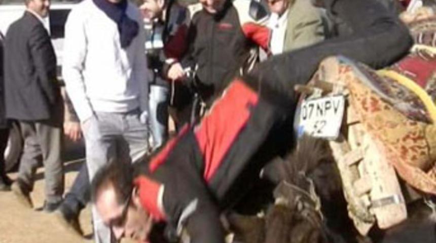 Motosiklet akrobatı eşekten d&uuml;şt&uuml;