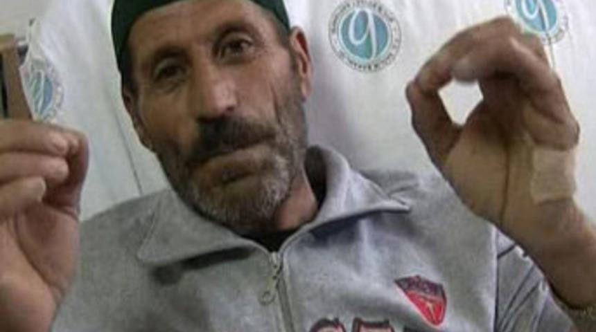 Domuzun elinden k&ouml;pekler kurtardı