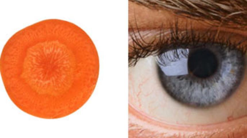 Hangi meyve hangi organa benziyor?