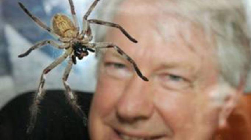 3 hafta y&uuml;zlerce &ouml;r&uuml;mcekle yaşayacak