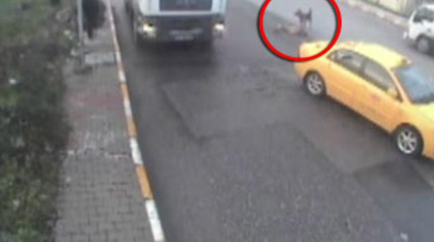 Taksici ka&ccedil;tı, k&ouml;pek yardım istedi