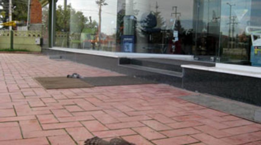 &Ouml;l&uuml;m&uuml;ne kovalamaca