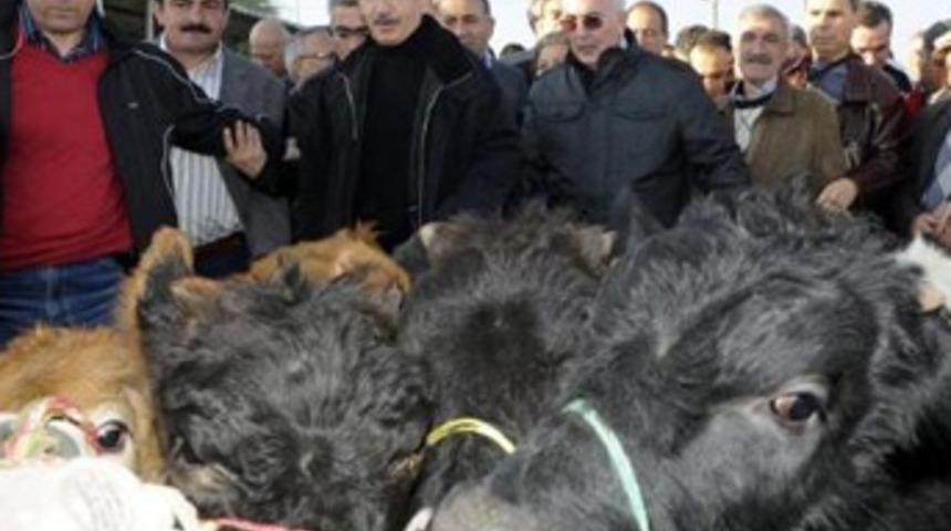 Kılı&ccedil;daroğlu'nun ziyaretinde silahlı kavga