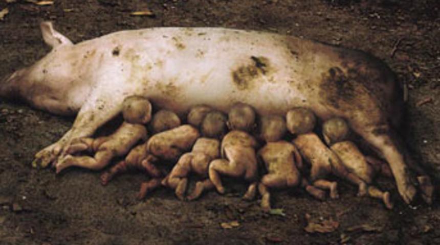 Dehşete d&uuml;ş&uuml;ren afişler...