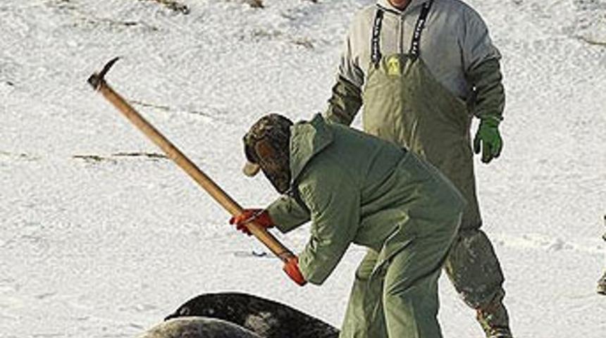 Ve katliam başladı...