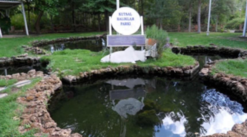 Kutsal balıklar köy mezarlığına defnediliyor