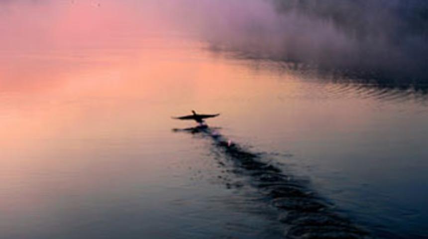 National Geographic en iyileri se&ccedil;ti
