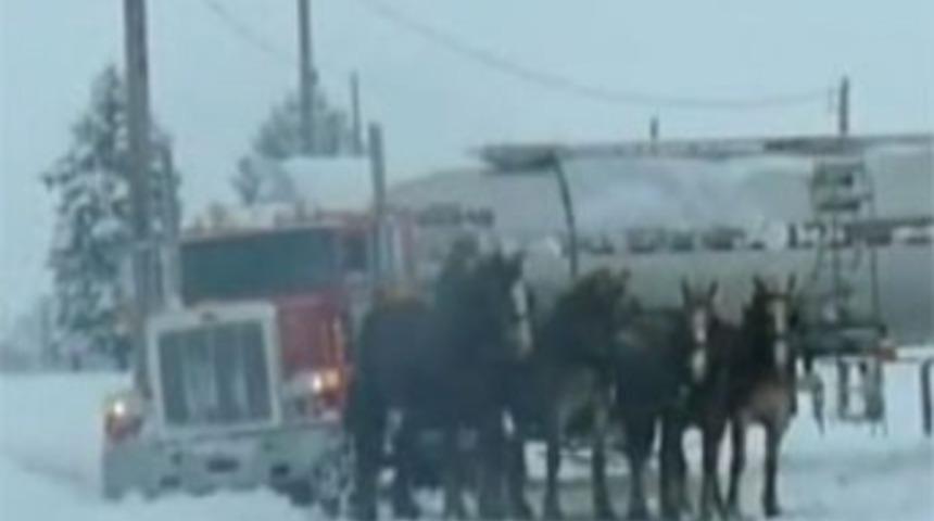 Tankere atlı kurtarma