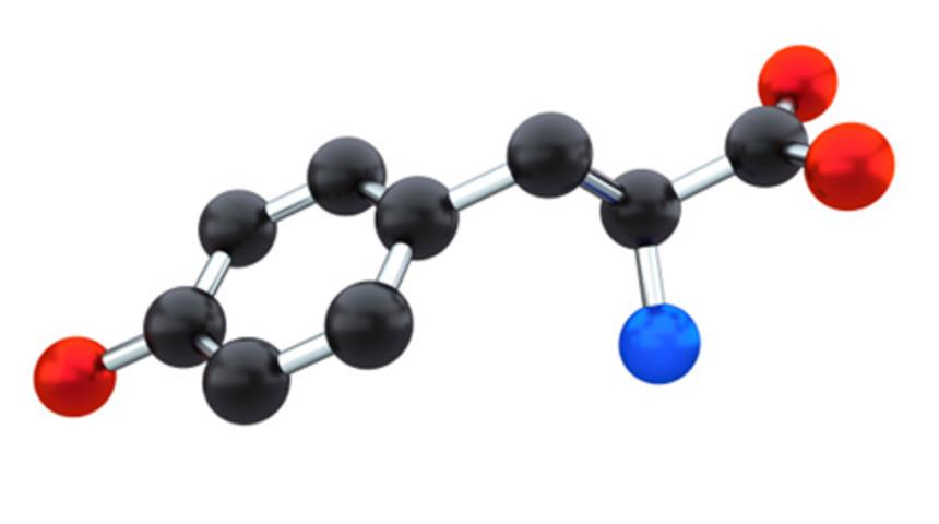Amino Asit Analiz Ve Tedavisi