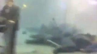 Bombacılar Türkiye'den mi gitti