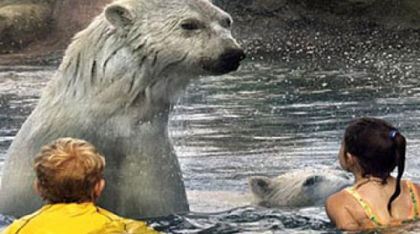 İnanılmaz, ama ger&ccedil;ek!