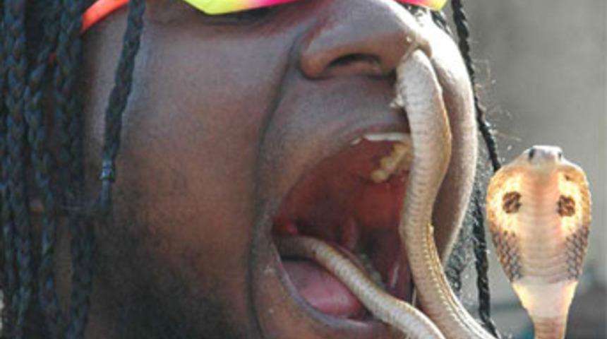 D&uuml;nyanın en iğren&ccedil; ve havalı g&ouml;sterisi