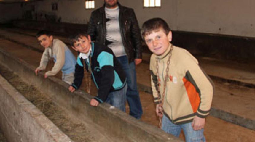 Ahıra inek yerine 3 oğlunu bağladı