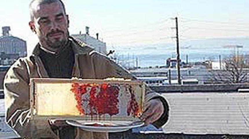 G&ouml;renleri hayrete d&uuml;ş&uuml;ren olay!