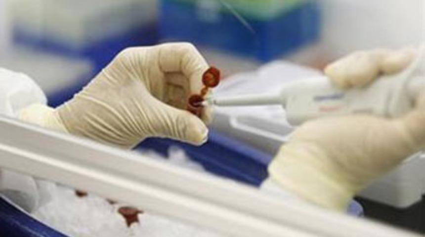 Konya'da domuz gribinden &ouml;l&uuml;m