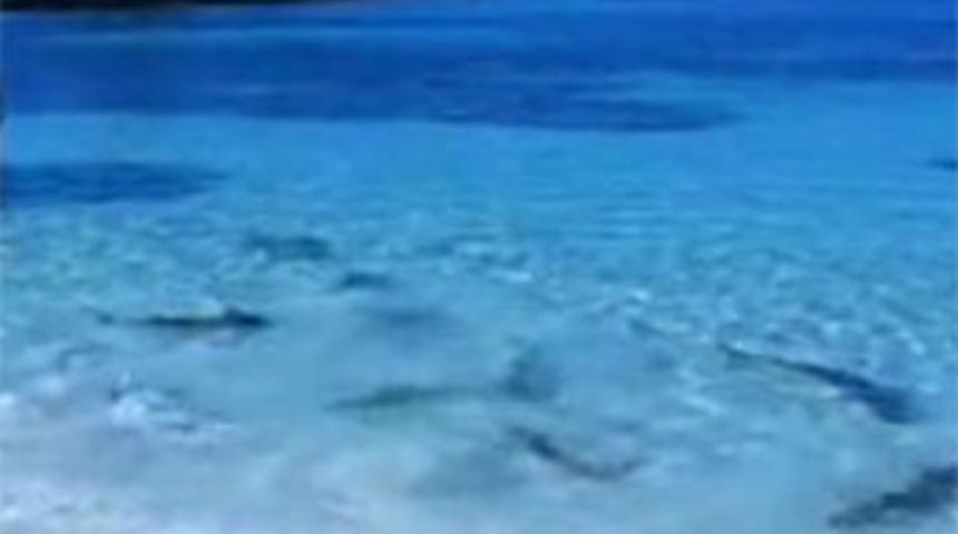 Burada y&uuml;zmek cesaret ister