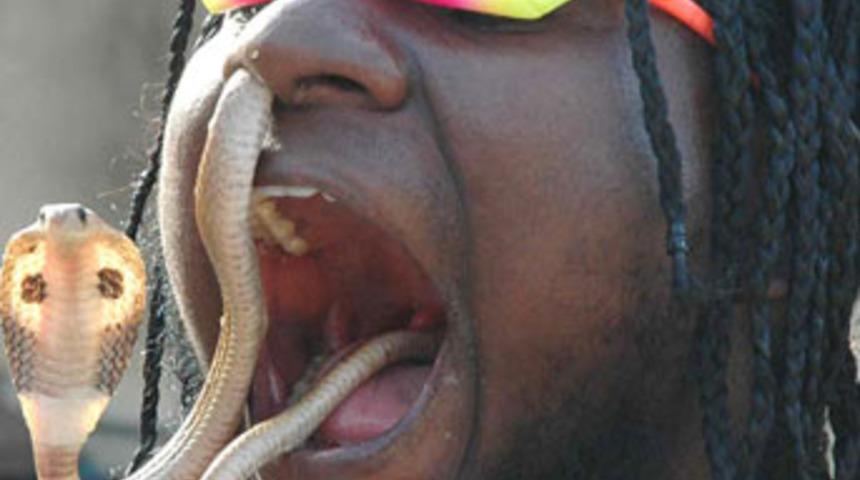 D&uuml;nyanın en iğren&ccedil; g&ouml;sterisi