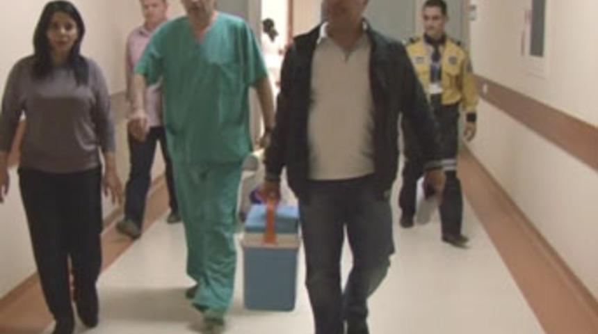 Bebekten bebeğe b&ouml;brek nakli