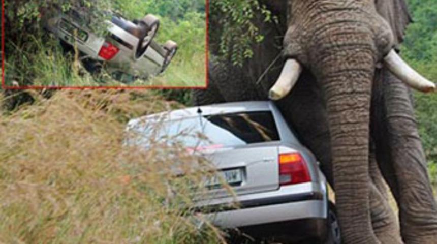 Eş arıyorum, bulaşmayın!