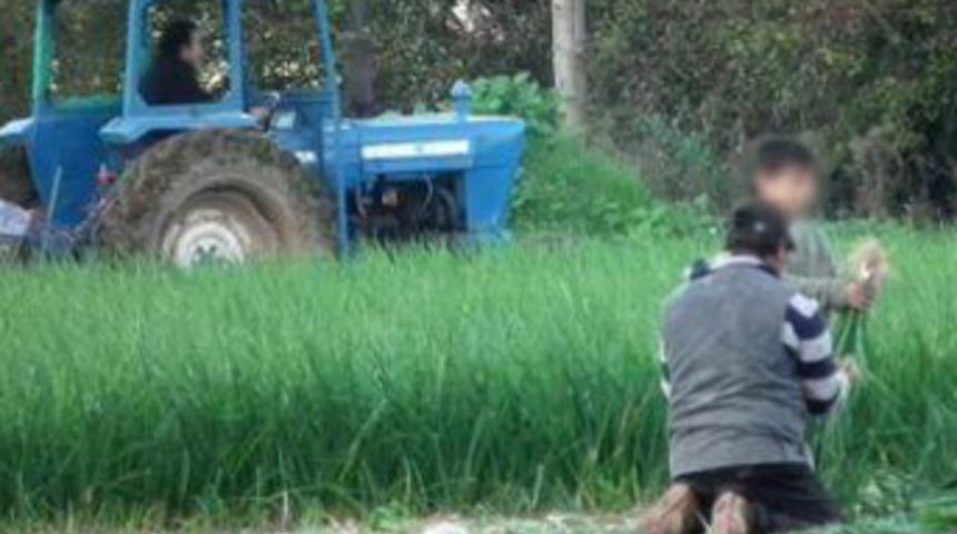 İngiltere bu rezaleti konuşuyor