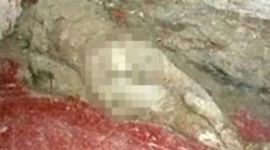 Kan donduran inanılmaz olay!