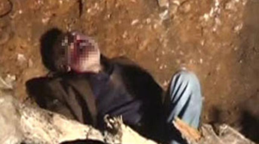 D&ouml;verek &ouml;ld&uuml;r&uuml;p &ccedil;ukura attılar