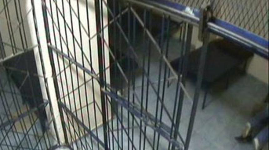 Polis nezaretinde seks!