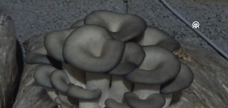 Sosyal medyadan görüp evinde üretmeye başladı, şimdi marketlere satıp kazanç sağlıyor! "Herkes çok beğendi" G2