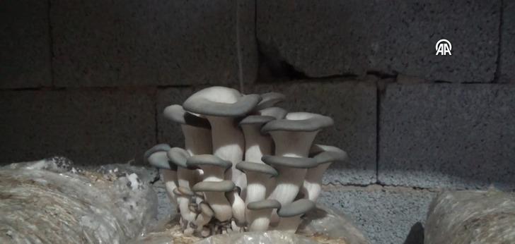 Sosyal medyadan görüp evinde üretmeye başladı, şimdi marketlere satıp kazanç sağlıyor! "Herkes çok beğendi" G3