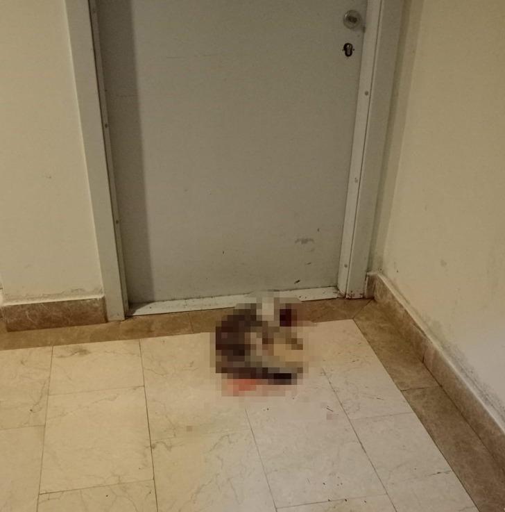 İbrahim Keloğlan, Eros'u dakikalarca tekmeleyip öldürmüştü! Tepkilere yol açan olayla ilgili mahkemeden dikkat çeken karar G3