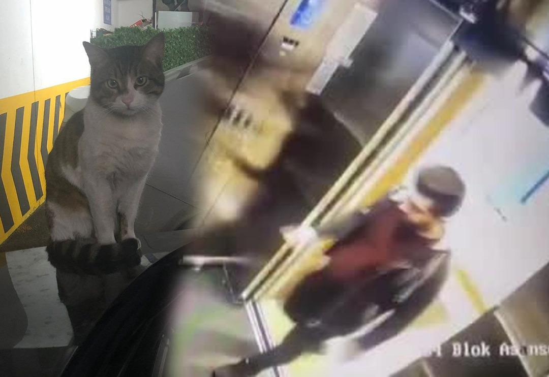 İbrahim Keloğlan, Eros'u dakikalarca tekmeleyip &ouml;ld&uuml;rm&uuml;şt&uuml;! Tepkilere yol a&ccedil;an olayla ilgili mahkemeden dikkat &ccedil;eken karar