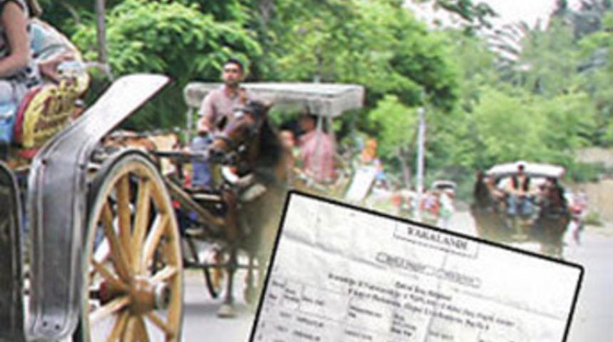 Sabıkalı faytoncu serbest, ada tedirgin!