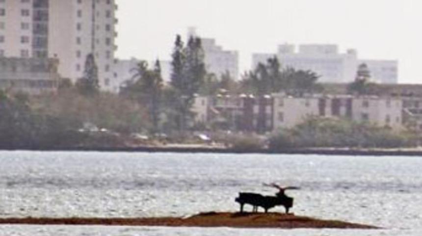 Esrarengiz piyanonun sırrı çözülemedi