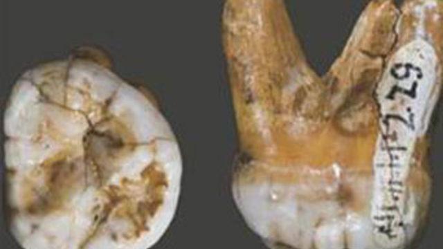 Yeni insan türü keşfedildi