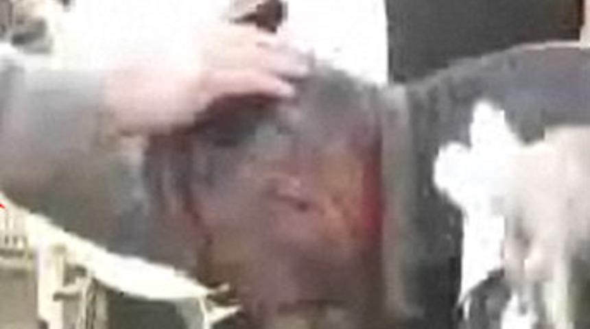 Hayvan pazarında balyozlar konuştu!