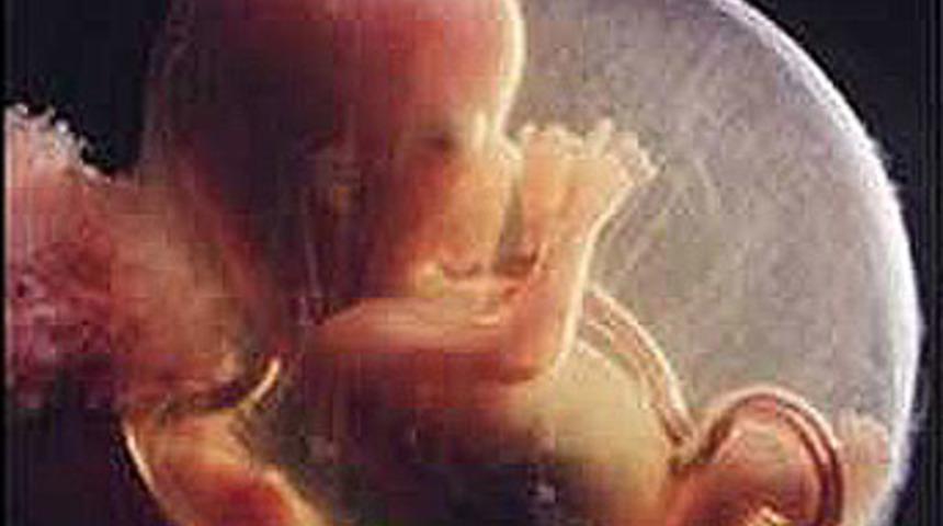 Tapınakta 348 cenin!