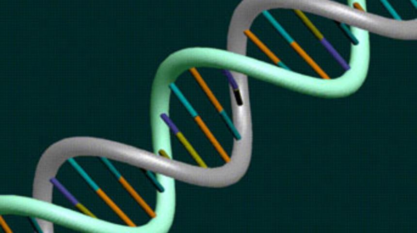 DNA testi talebi reddedildi