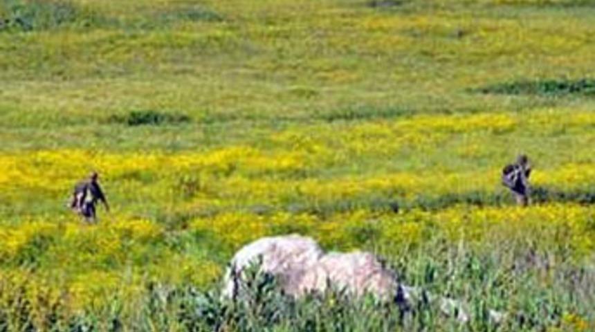 Flaş...Şemdinli'de hava hareketliliği