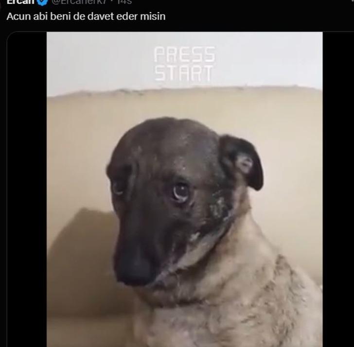 Acun Ilıcalı X'teki Survivor izleyicilerini Dominik'e davet etti! Paylaşımı gören fanlar çıldırdı G2