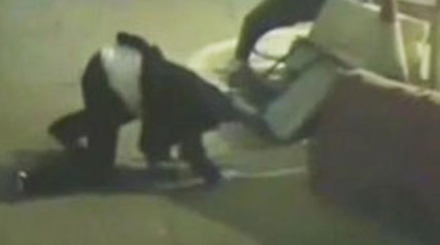 Herkes bu sarhoşu konuşuyor