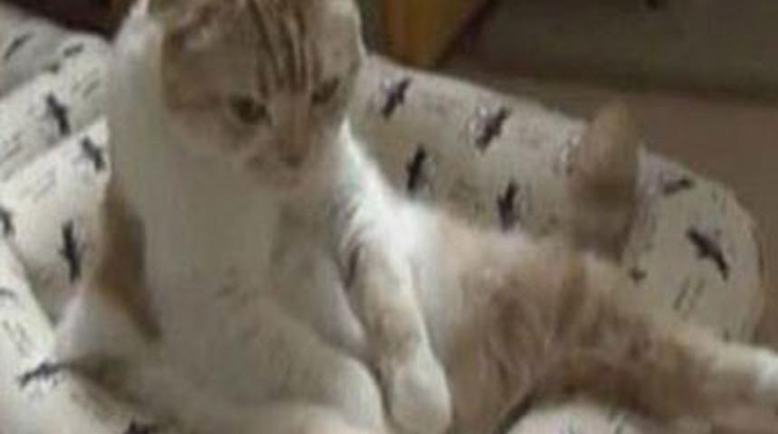 H&uuml;z&uuml;nlendim ben yine!