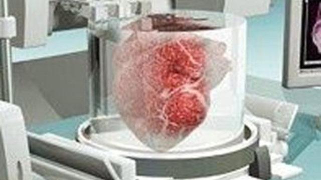 Hücrelerin fotokopisiyle böbrek yaptılar