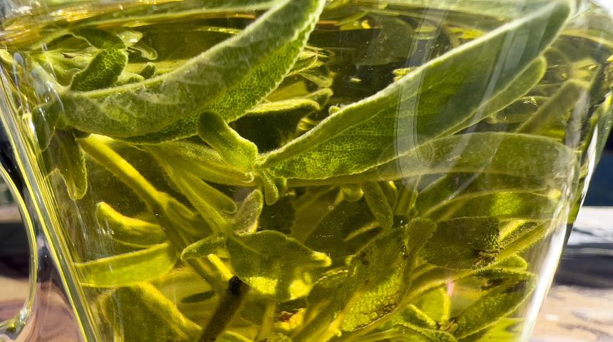 Adaçayının faydaları nelerdir? Adaçayı neye iyi gelir, her gün adaçayı içersek ne olur?