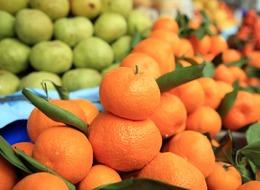 Türkiye'nin narenciye ihracatı 1 milyar doları aştı