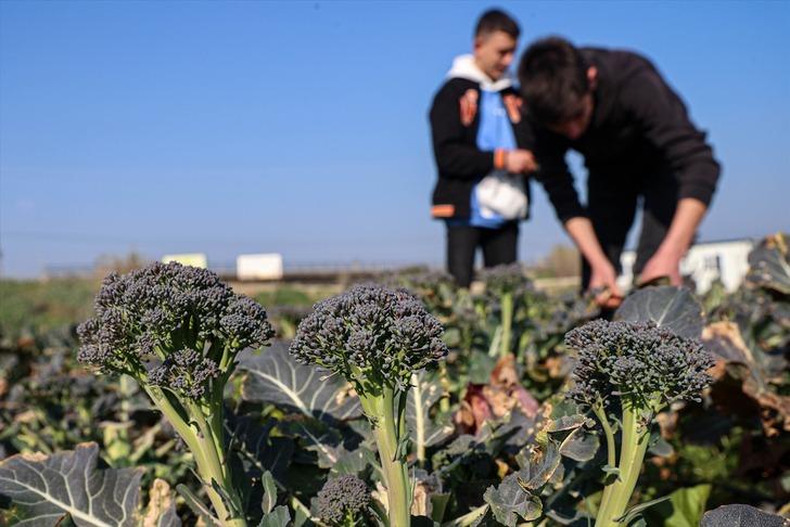 İlçede herkes çöplük olarak hatırlıyor! Son halini gören inanamıyor... Her şey bir yılda oldu G3
