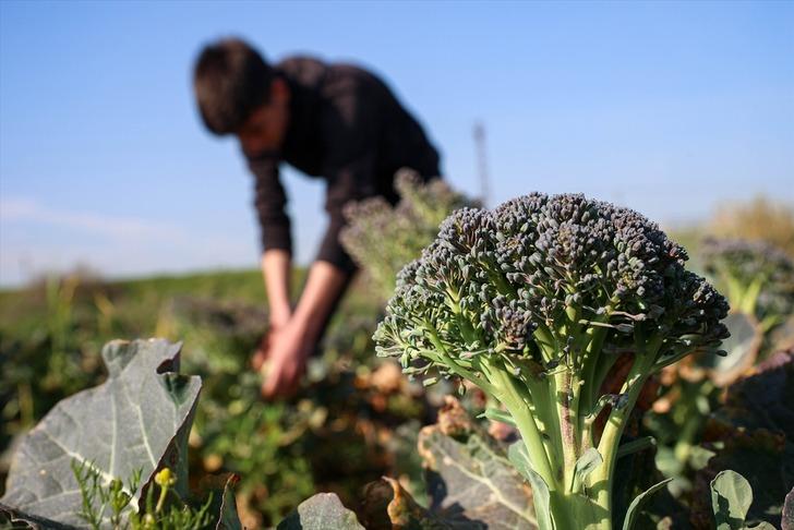 İlçede herkes çöplük olarak hatırlıyor! Son halini gören inanamıyor... Her şey bir yılda oldu G4