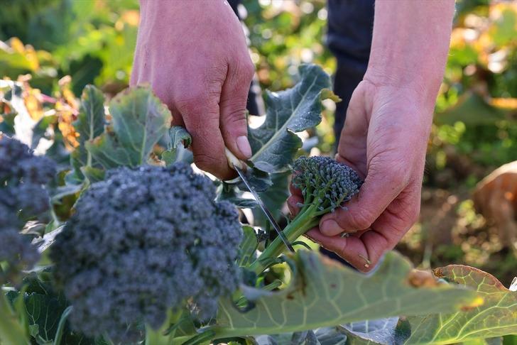 İlçede herkes çöplük olarak hatırlıyor! Son halini gören inanamıyor... Her şey bir yılda oldu G5