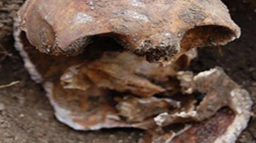 Par&ccedil;alayıp, &ccedil;ocuklara yedirdi