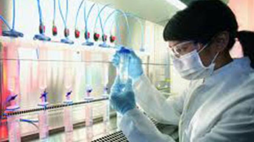 Hafıza h&uuml;cresini &uuml;rettiler