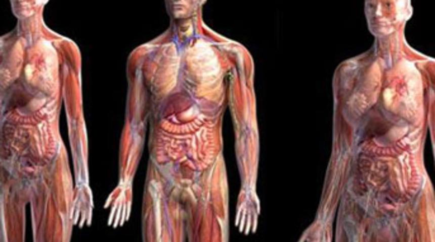 S&uuml;per insan 20 yıl i&ccedil;inde doğacak